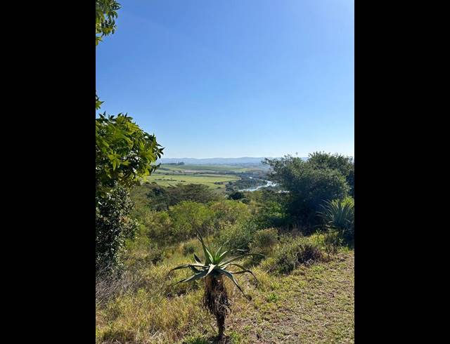 LAND FOR SALE IN ZINI RIVER ESTATE